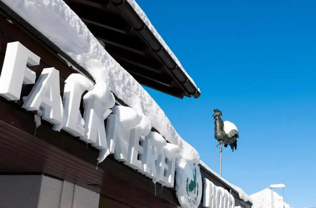 Hotel Falknerei Galina - главное фото