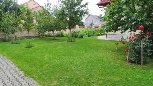 Апартаменты У Виктора  - главное фото