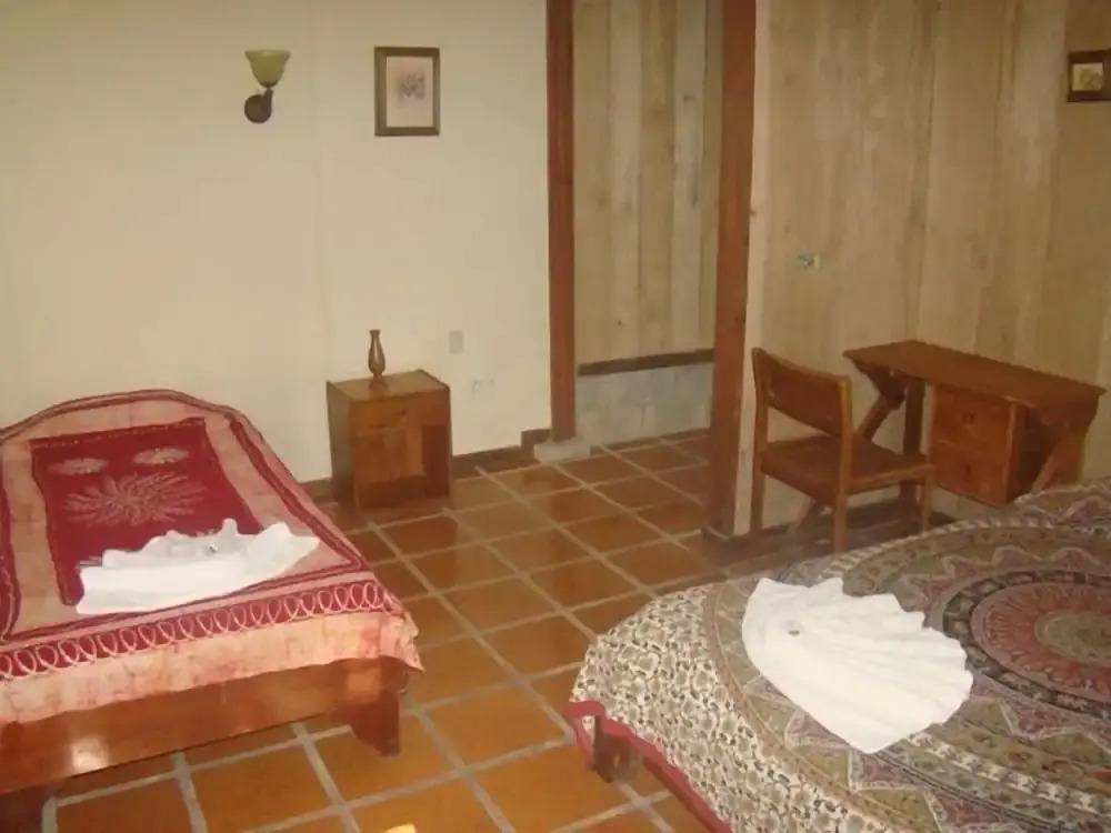 La Gamba Rainforest Lodge - главное фото