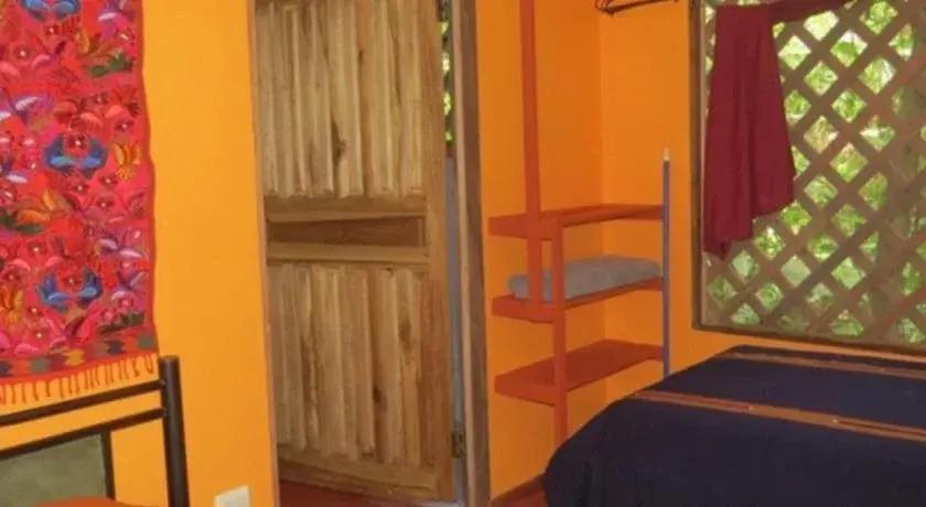 Toucan and Tarpon - главное фото