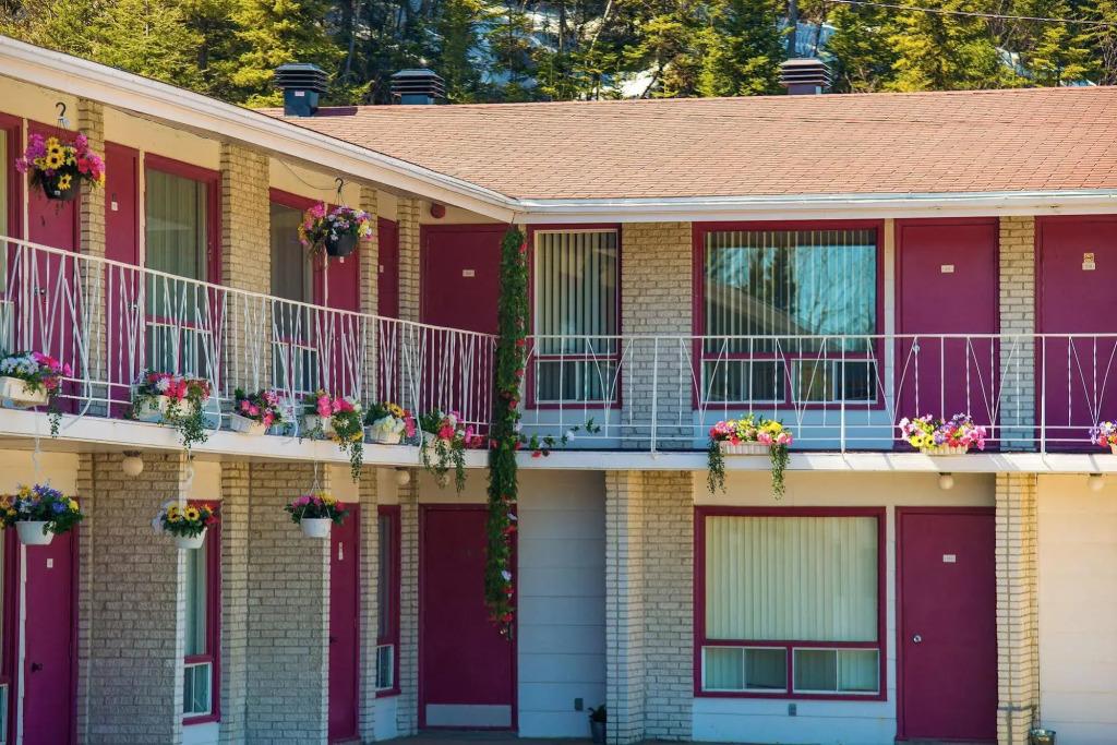 Motel du Rosier - главное фото