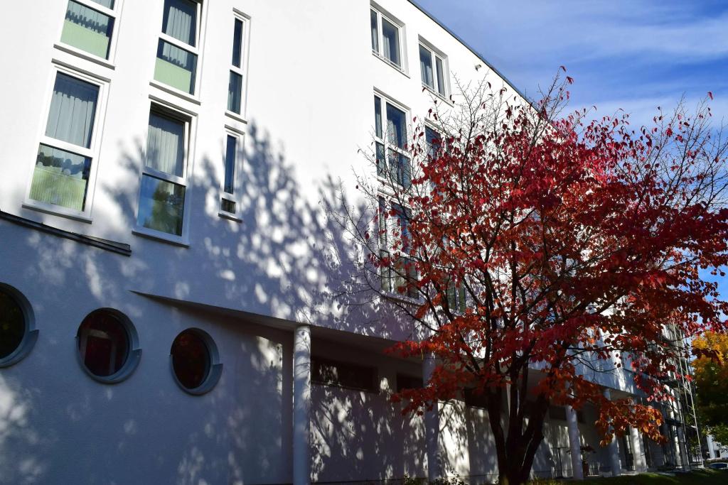 Scotty + Paul Hotel Deggendorf - главное фото