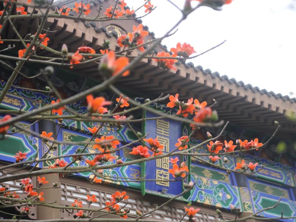 Eadry Royal Garden Hotel Haikou - главное фото