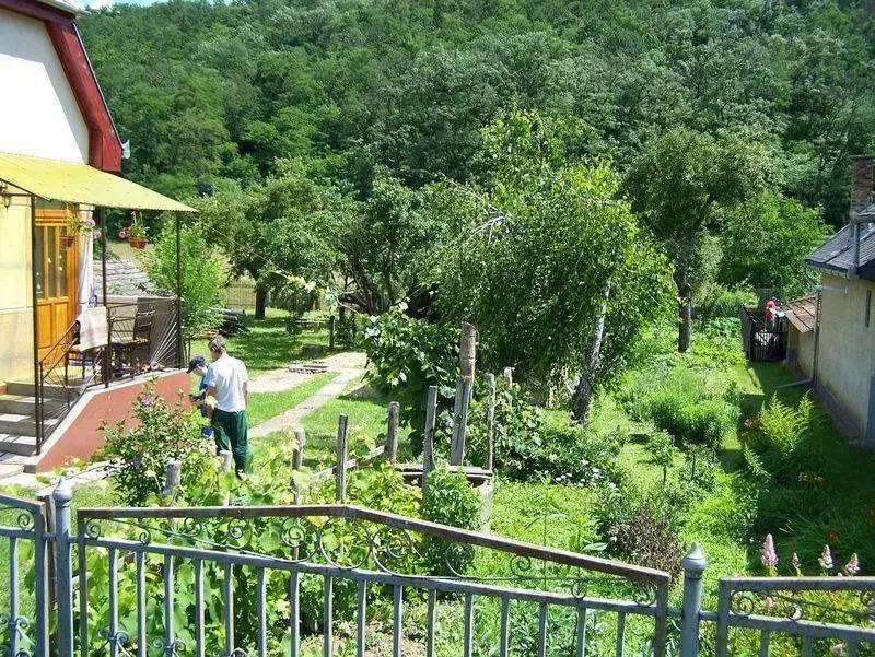 Matula ház - главное фото