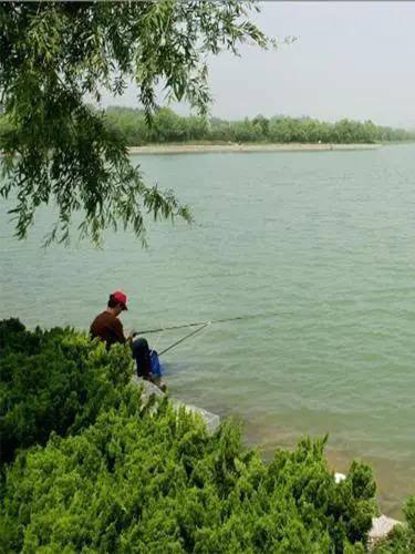 Feng Ze Resort - главное фото