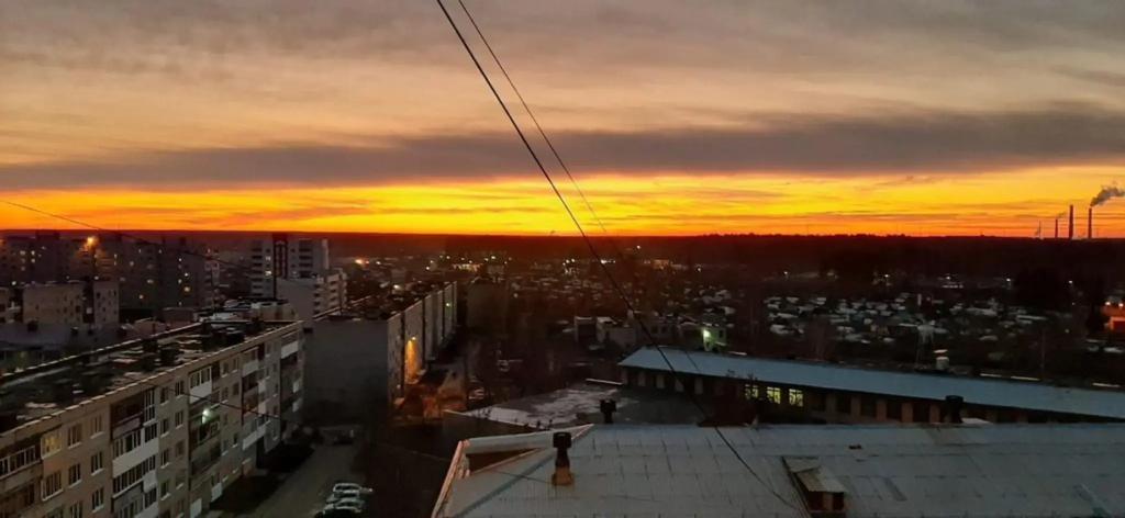 Желтый Нарцисс на улице Челюскинцев - главное фото