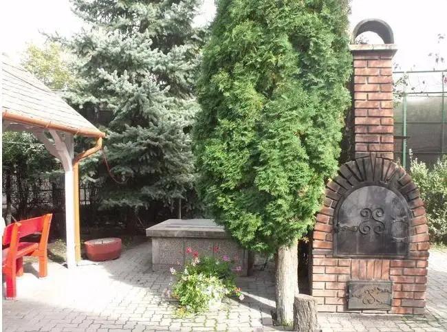 Levendula Panzio - главное фото