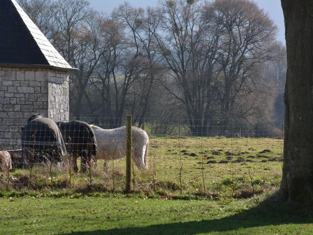 Wonderfully Furnished Cottage, Very Comfortable, Small Village Near Namur - главное фото