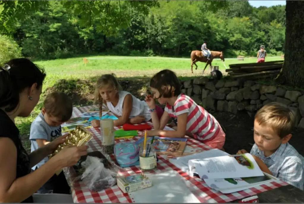 Orgona Ház - главное фото