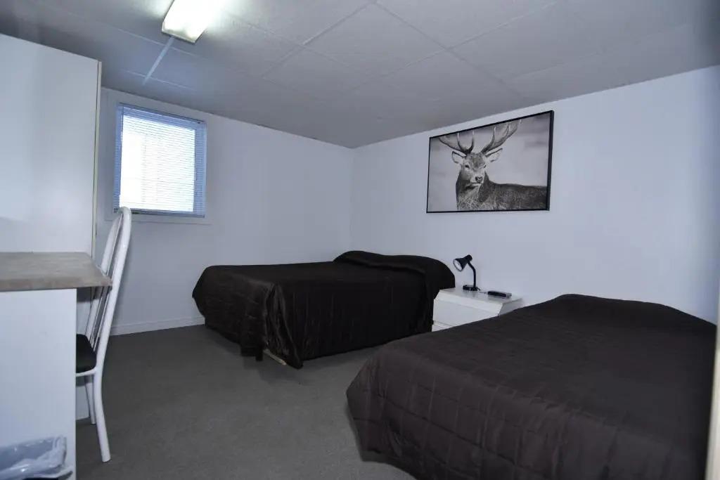 Les studios de la mer - главное фото