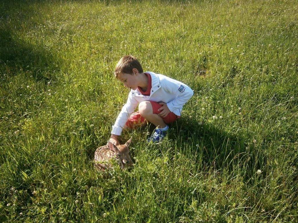Le Chalet Pré de la Fontaine - главное фото