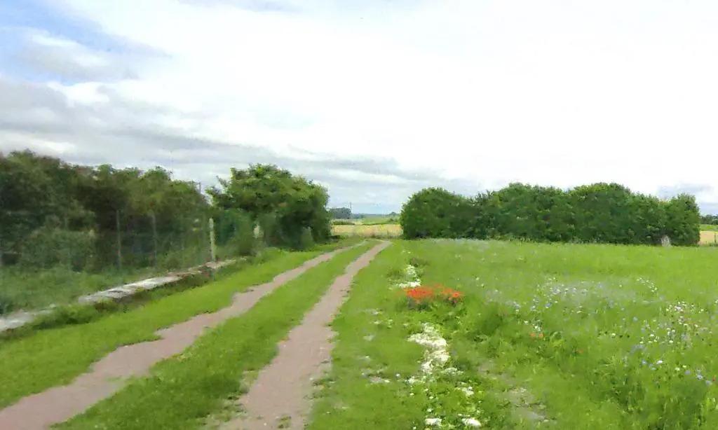 La canadienne - главное фото