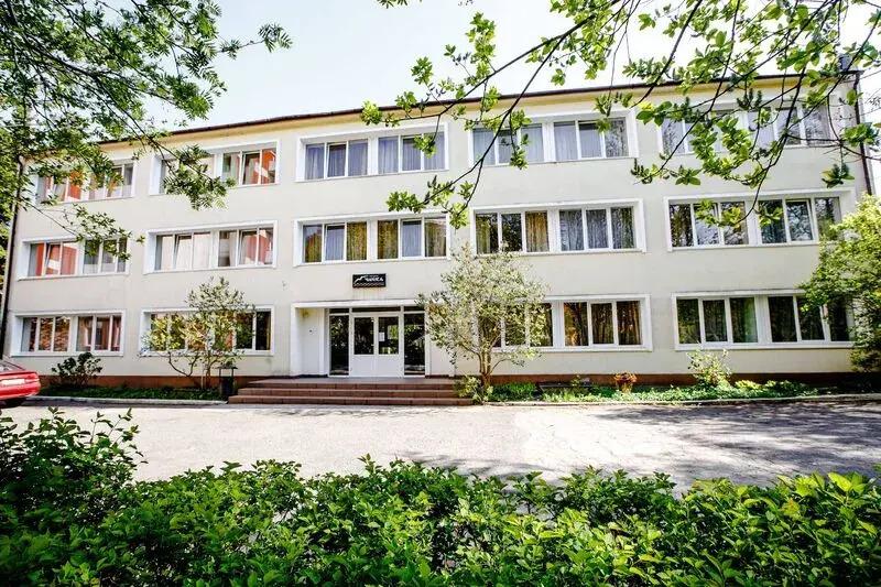 Чайка - главное фото