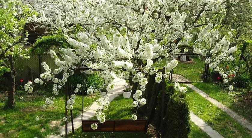 Anita Vendégház - главное фото