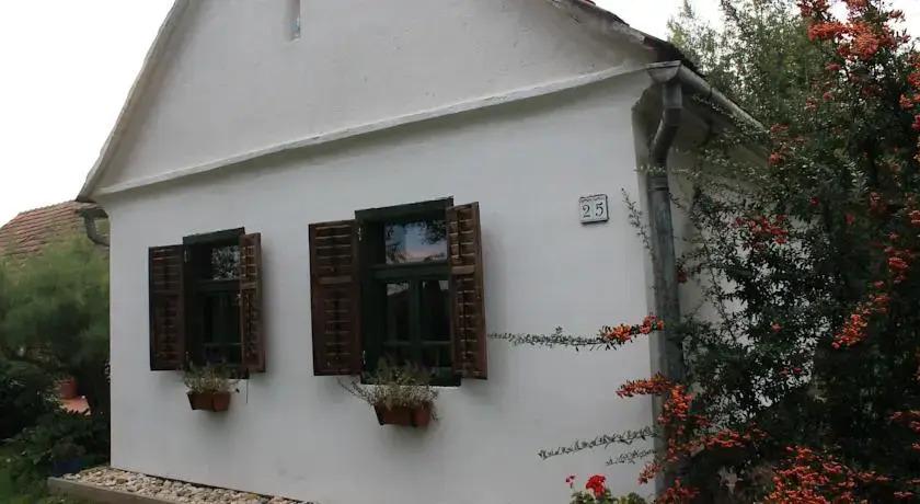 Csaliti Vendégház és Kemping - главное фото