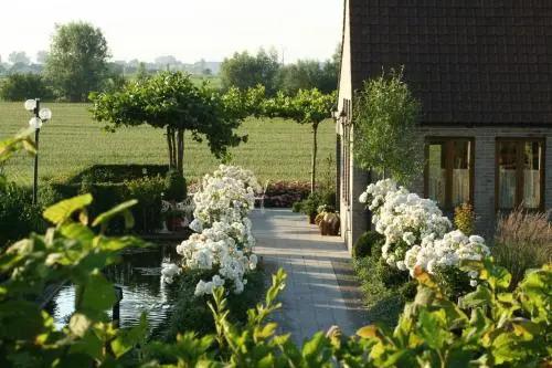 t Leeg Huys - главное фото