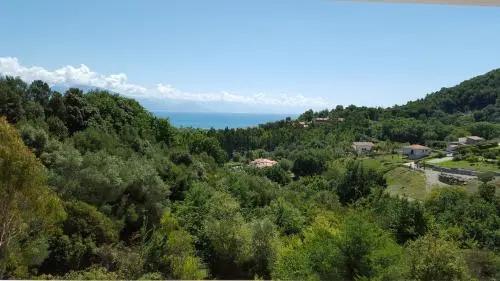 Casa vacanze Artemide - главное фото