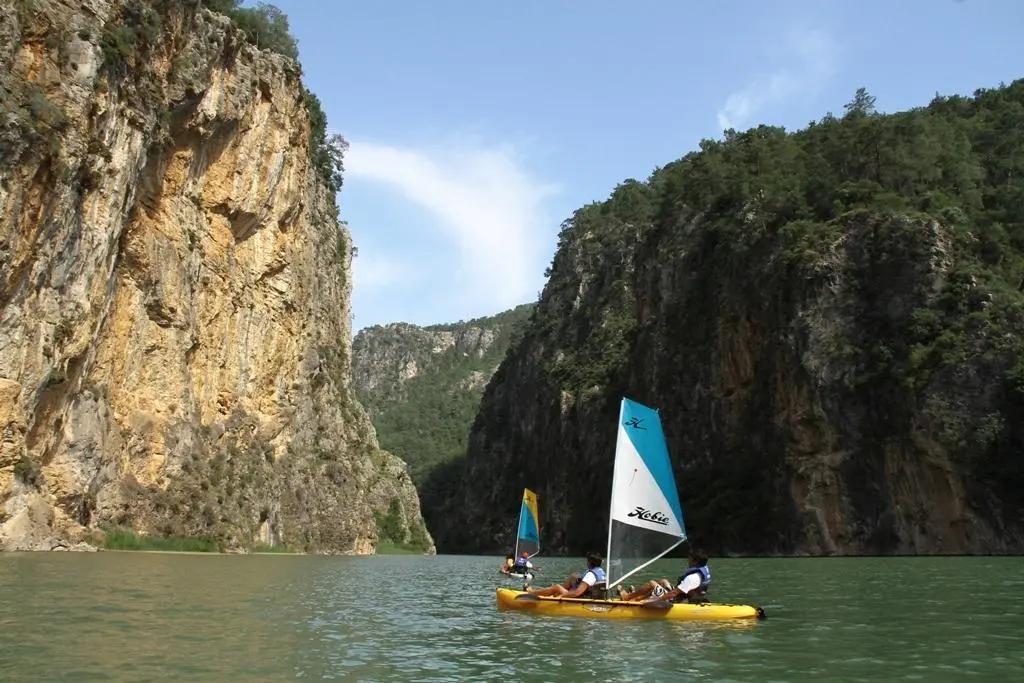 Villa Olive - главное фото