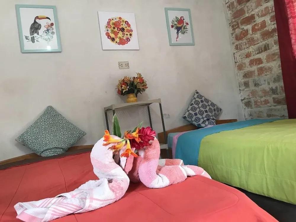 Ayahuaska - главное фото