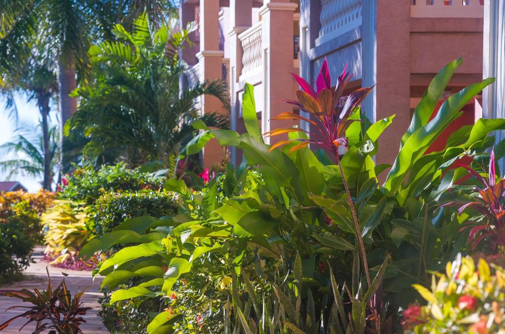 Infinity Bay Spa & Beach Resort - главное фото