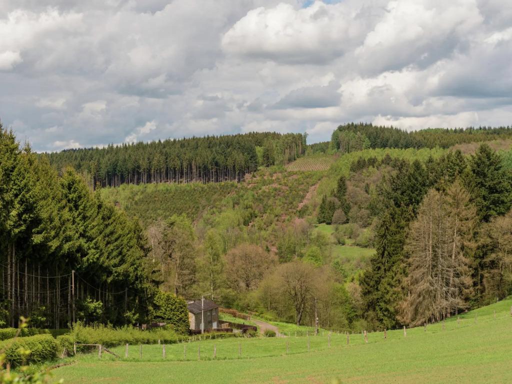 Beautiful Holiday Home in Redu With Whirlpool - главное фото