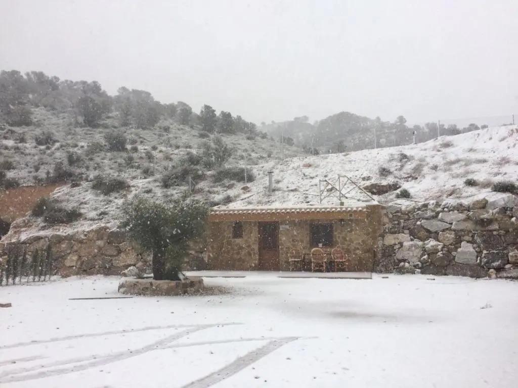 Casas y Cuevas El Solins - главное фото