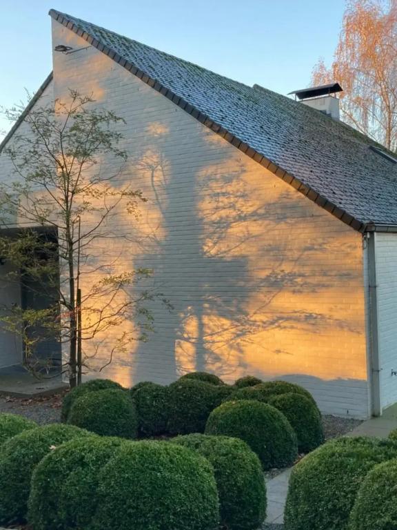 amoulogies - главное фото