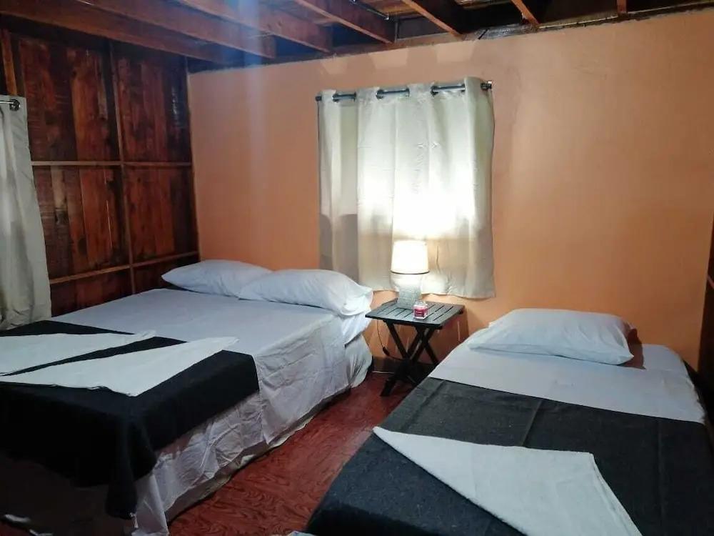 Peace Place - главное фото