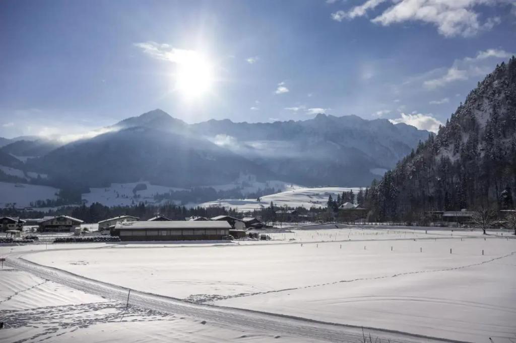 Kaiser Apart - главное фото