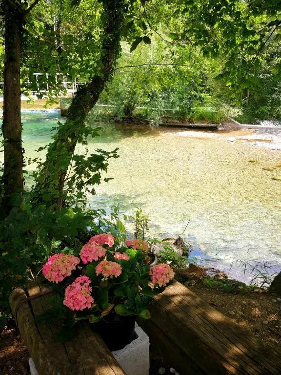 River house HRIB - главное фото