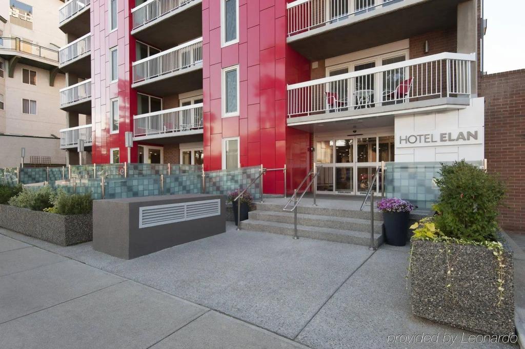 Elan - главное фото