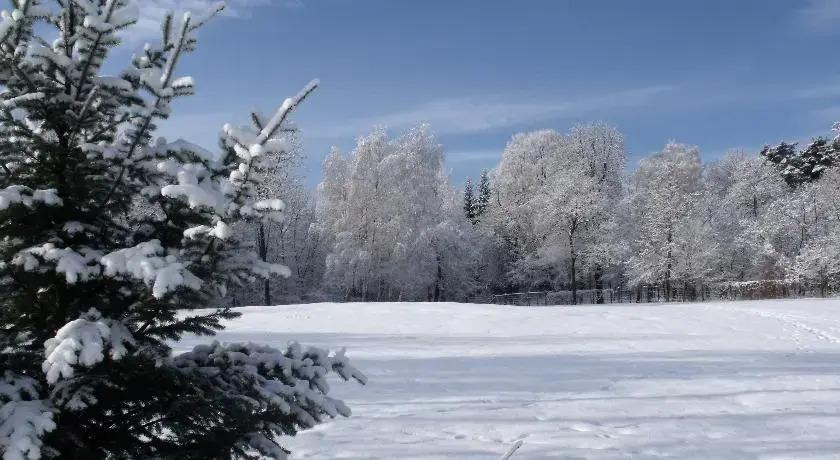 Hanga Guesthouse - главное фото