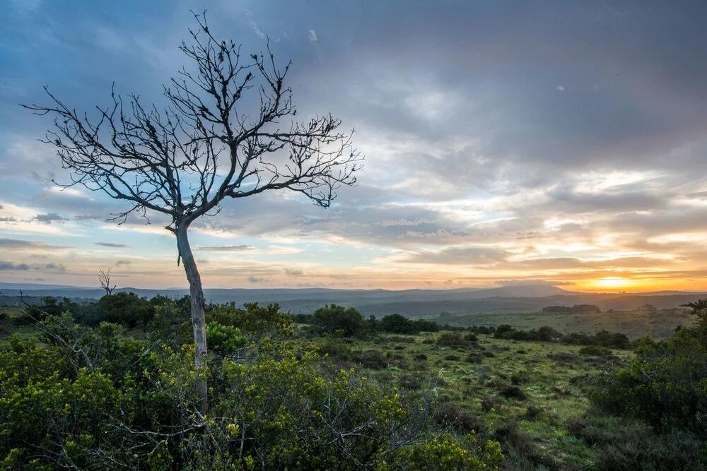 Sindile - главное фото