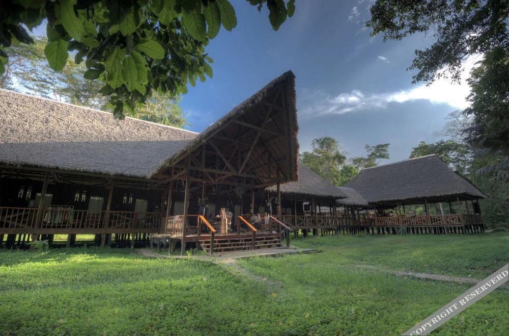 Tambopata Research Center - главное фото