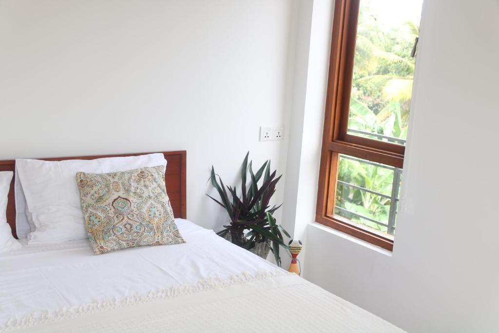 Kooks Paradise - главное фото