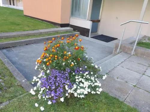 Ladina - главное фото