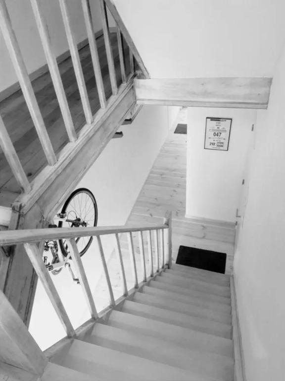 Studio Flandrien - главное фото