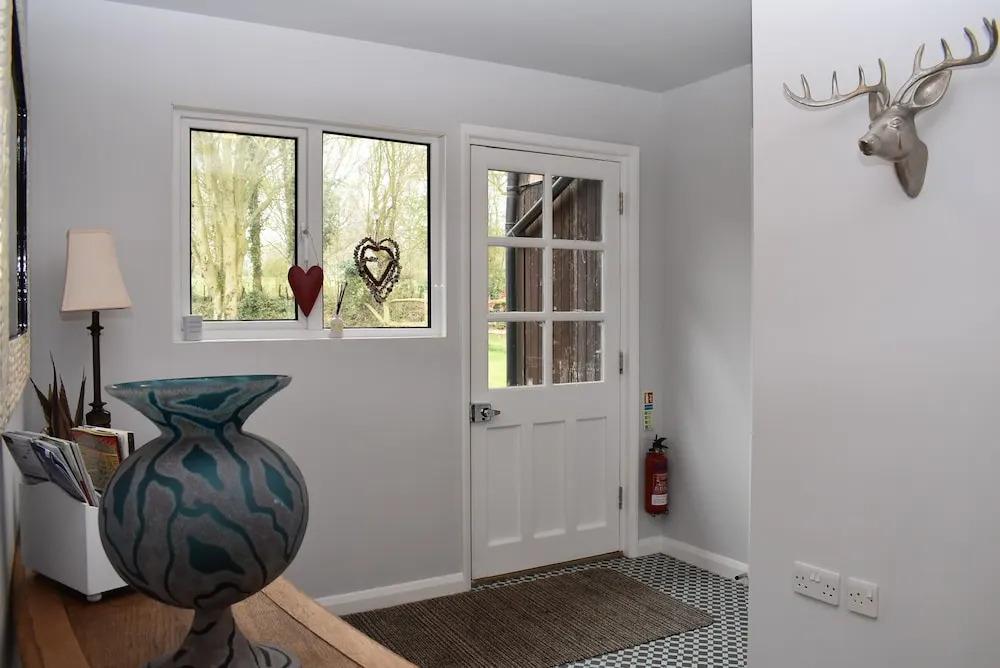 Bluebells - главное фото