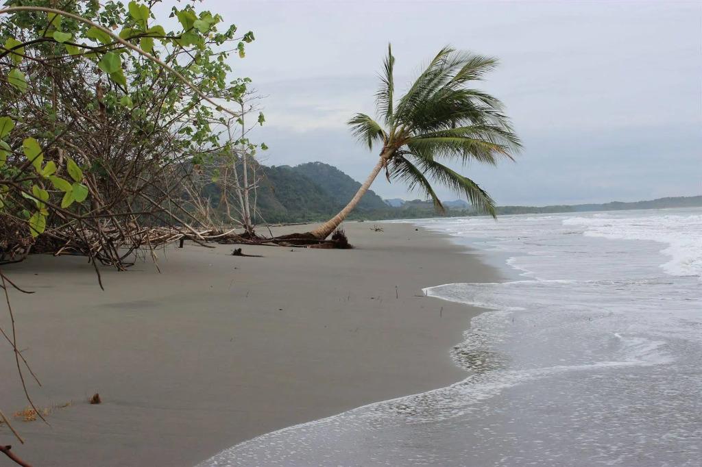 Villas De Oros - главное фото