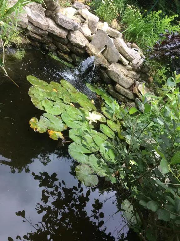 L'atelier Et Apres - главное фото