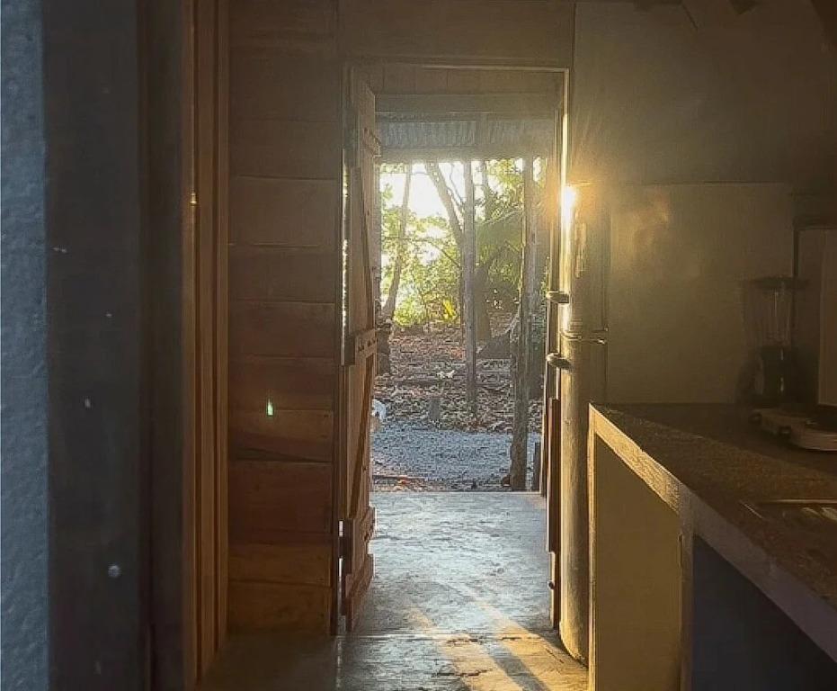 Surrounded By Trees In Front Of The Sea - главное фото