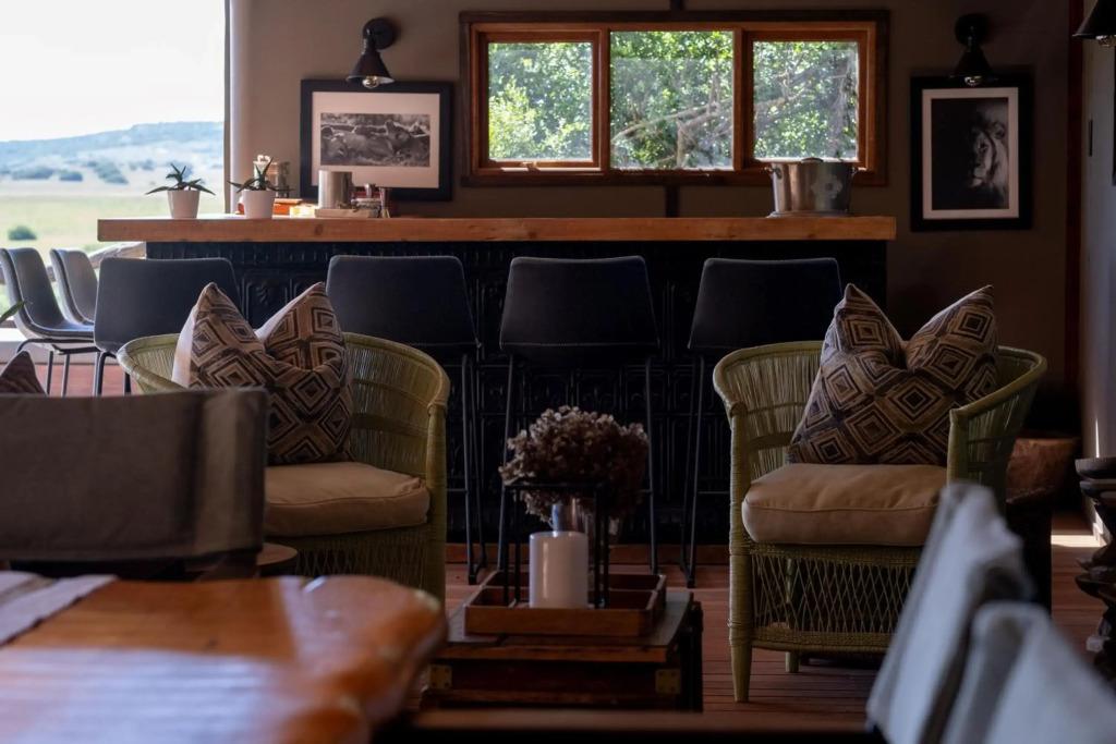 HillsNek Safari Camp - Amakhala Game Reserve - главное фото