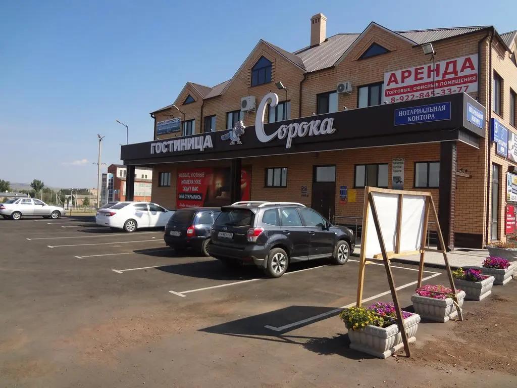 Сорока - главное фото