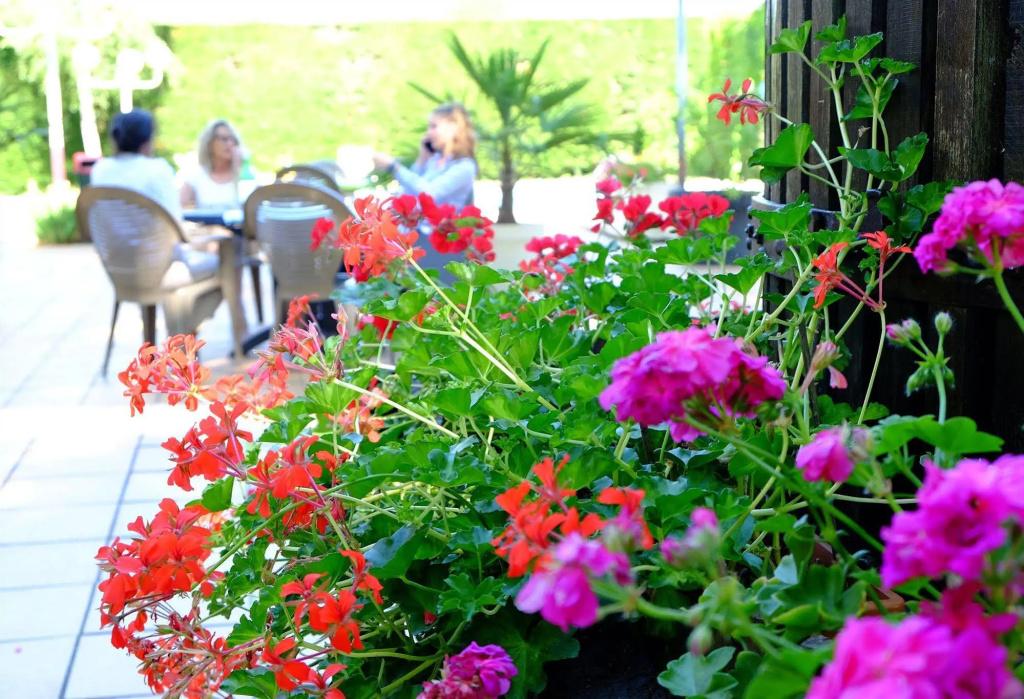 Logis Hôtel et Restaurant Ludik - главное фото
