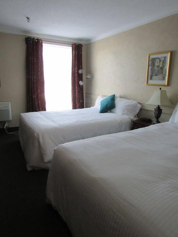 The City Motel - главное фото