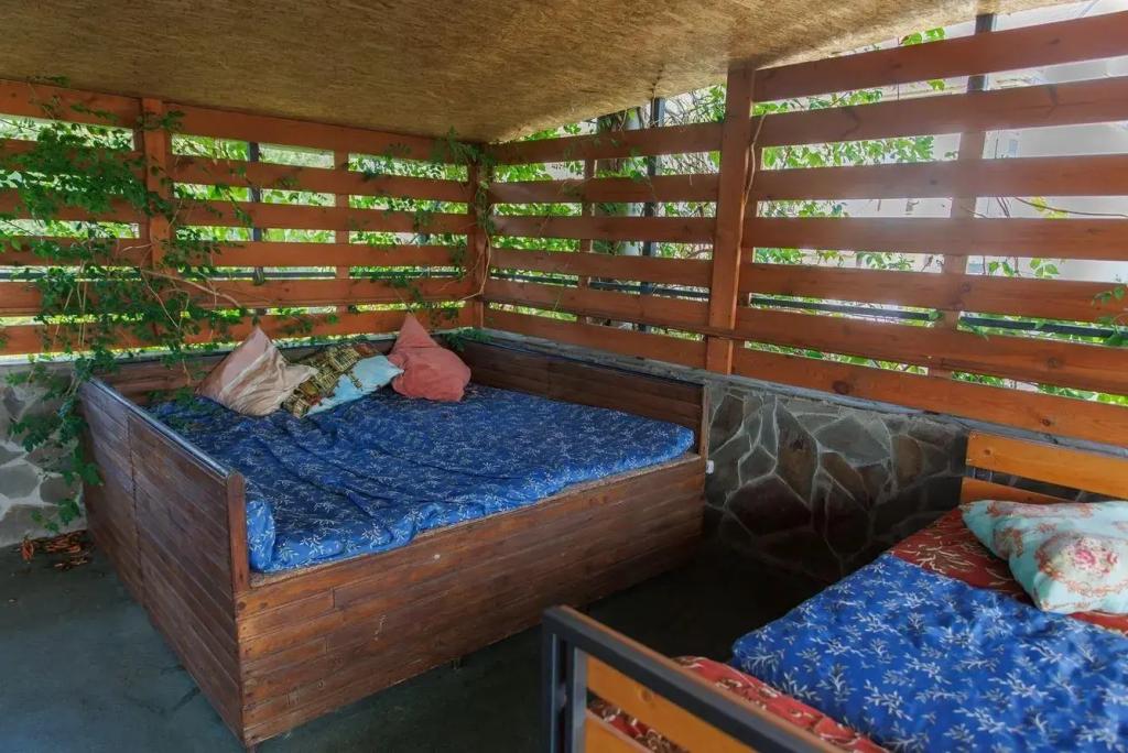 Фортуна - главное фото