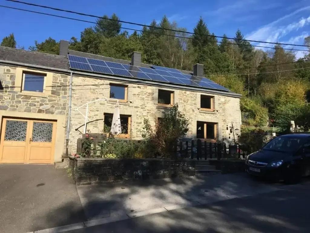 Lesse matinal - главное фото