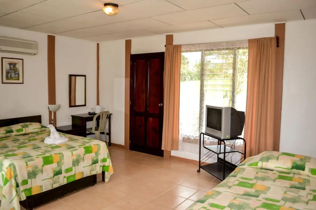 Termales del Bosque & Hot Springs - главное фото