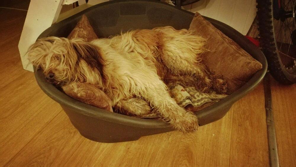 Beautiful Chalet Next to Forest Nature Preserve - главное фото