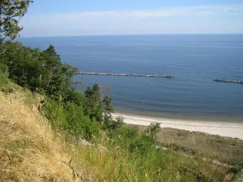 Am Küstenwald - главное фото